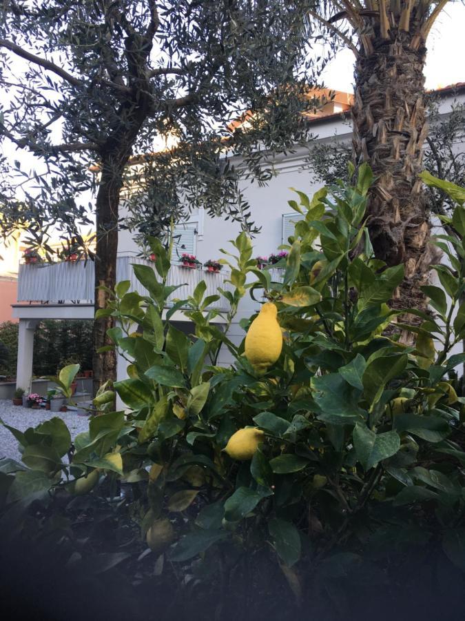 Guesthouse Villa Jung Bordighera Dış mekan fotoğraf